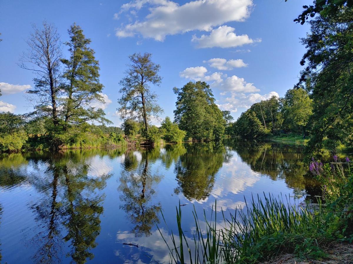 Masuria Warsaw Skrzeszew