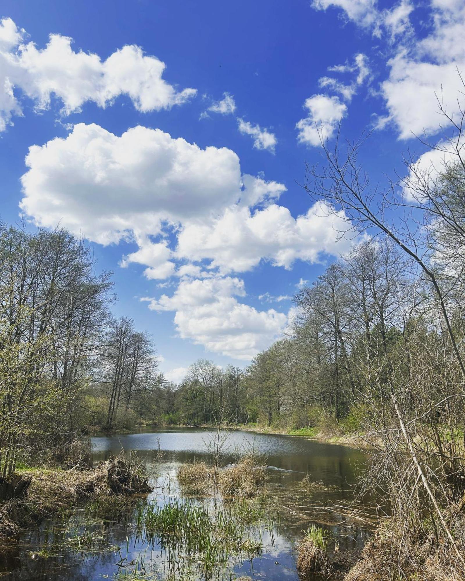 Masuria Warsaw Holiday home *
