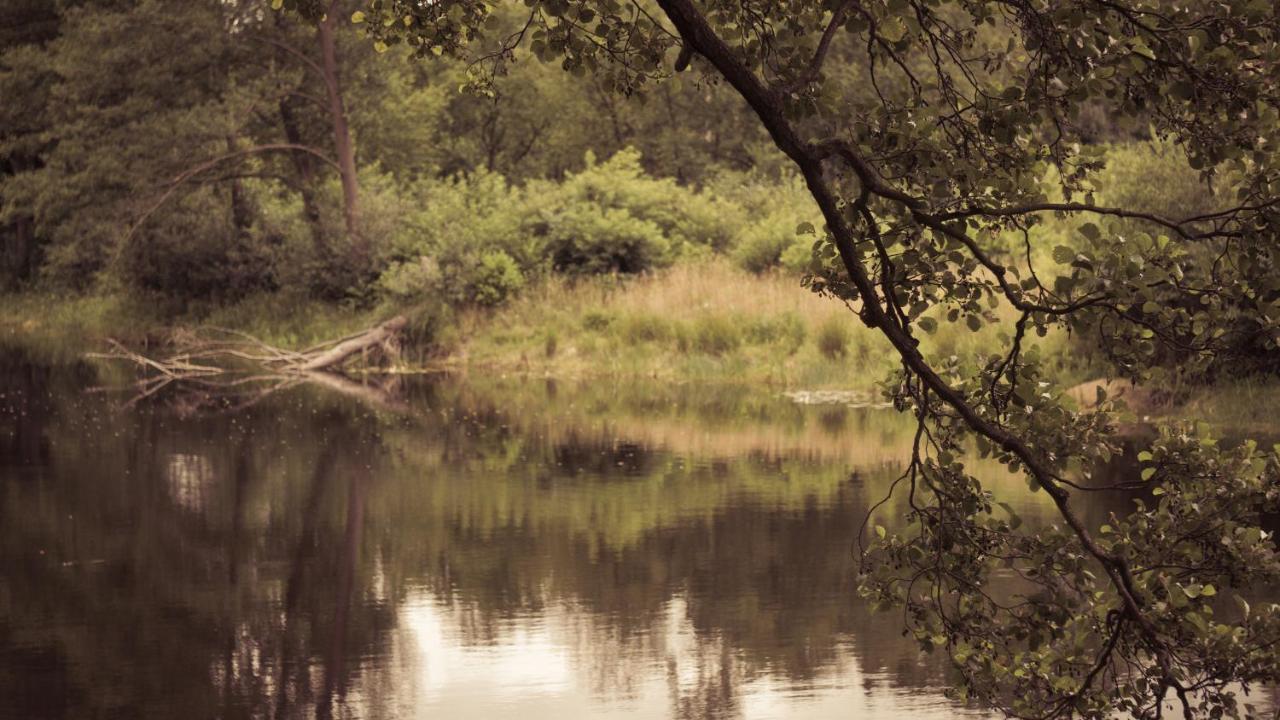 Masuria Warsaw Holiday home *