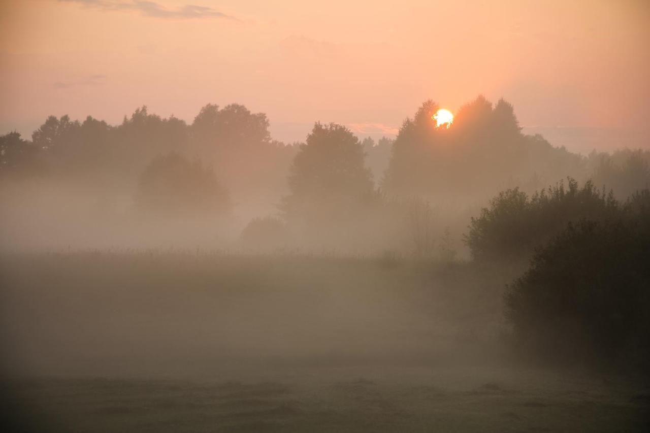 Masuria Warsaw *